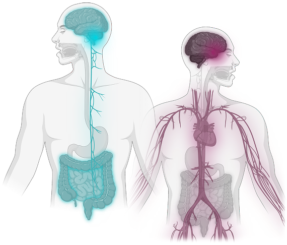 Hunger Vs appetite graphic